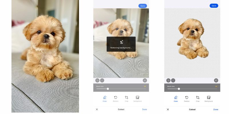 Tạo sticker bằng SnapEdit