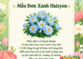word image 49880 8